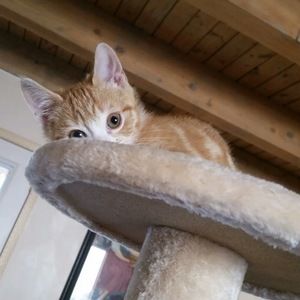 Meet your Posher, Deanna