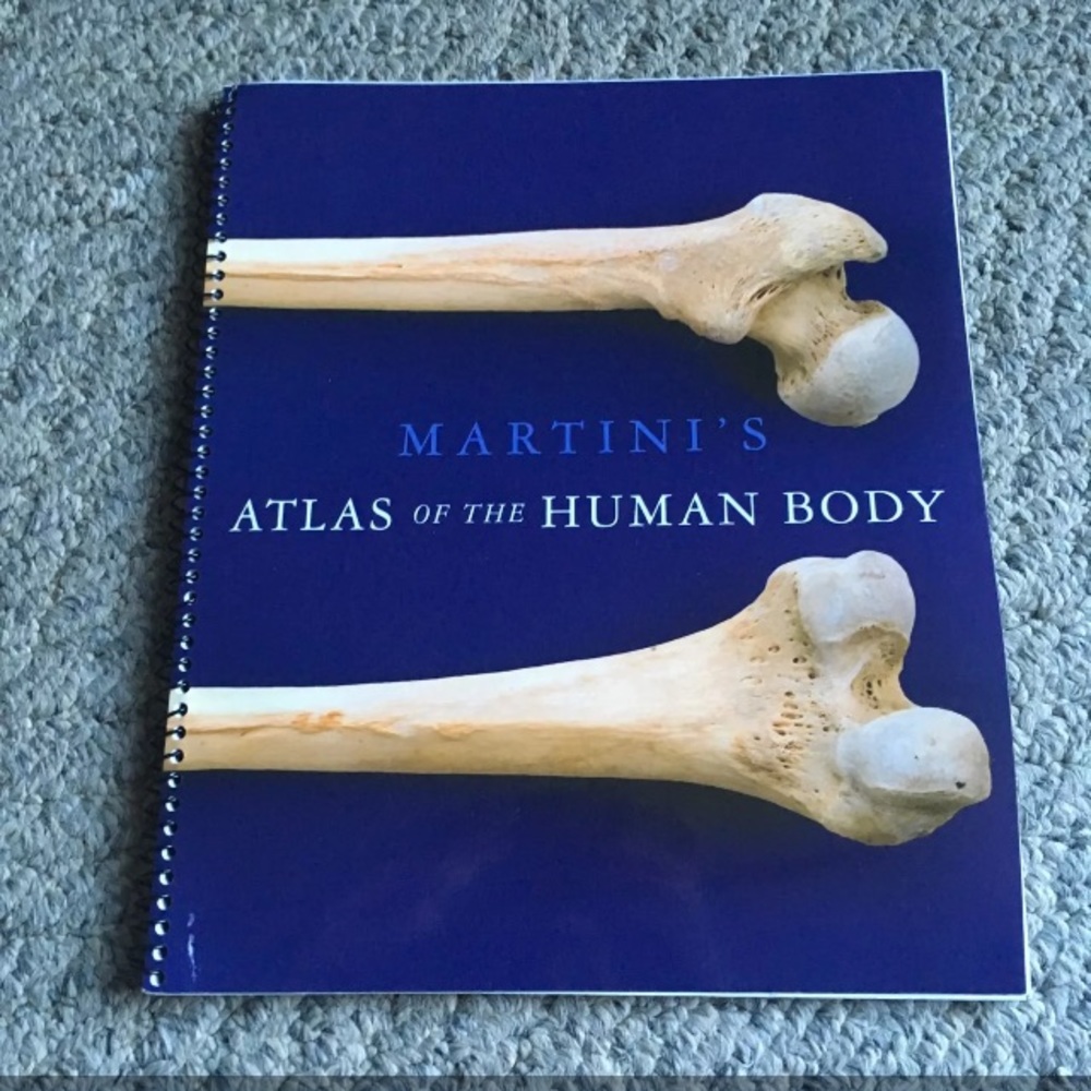 Martini’s Atlas of the human body