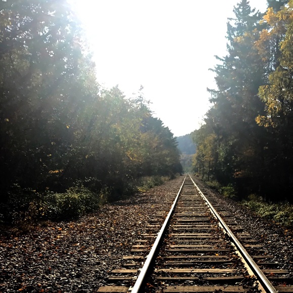 Meet your Posher, Macie - Picture 1 of 1