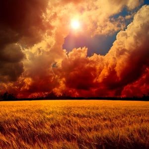 Meet your Posher, Jorge