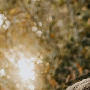 Meet your Posher, Evan