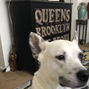 Meet your Posher, Vanessa