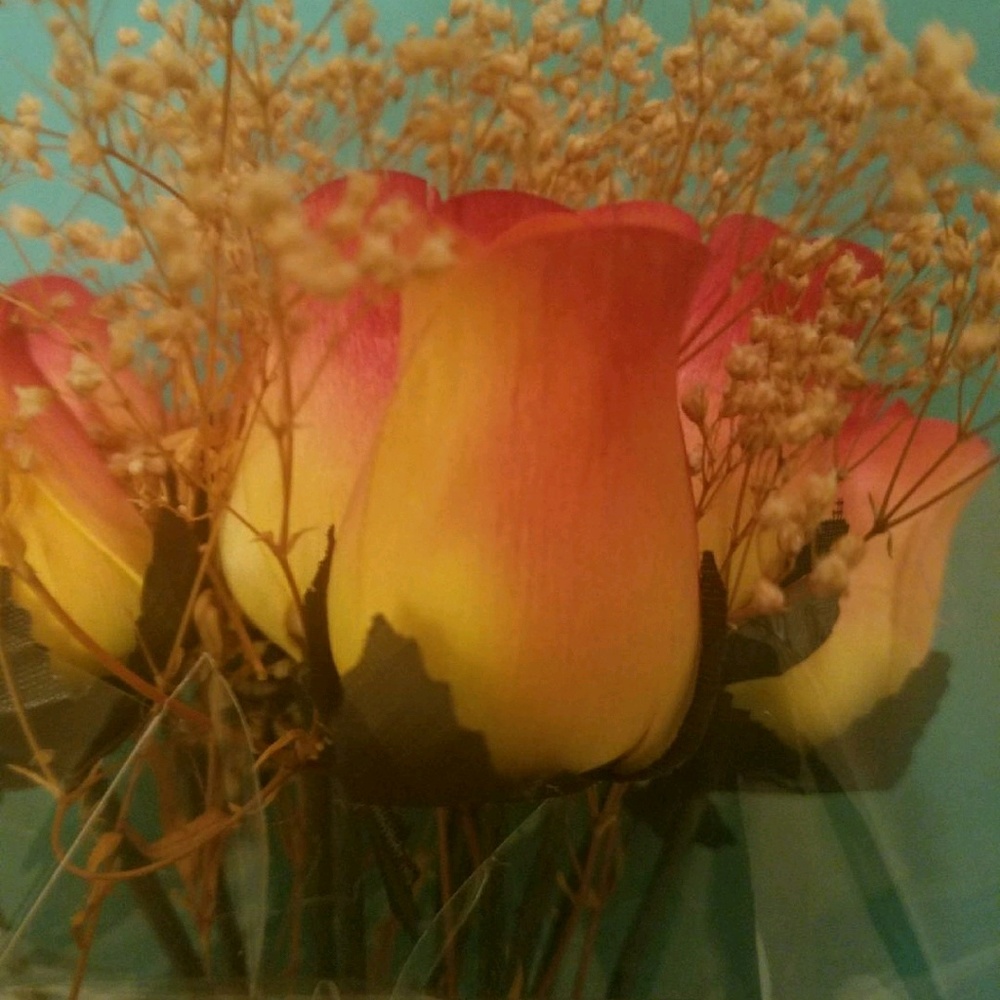 Meet your Posher, Lydia