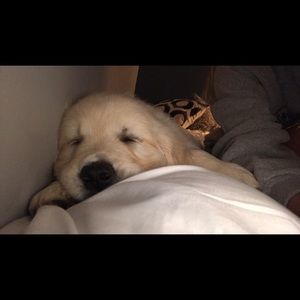 Meet your Posher, Leah