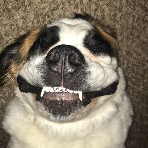 Meet your Posher, Genee