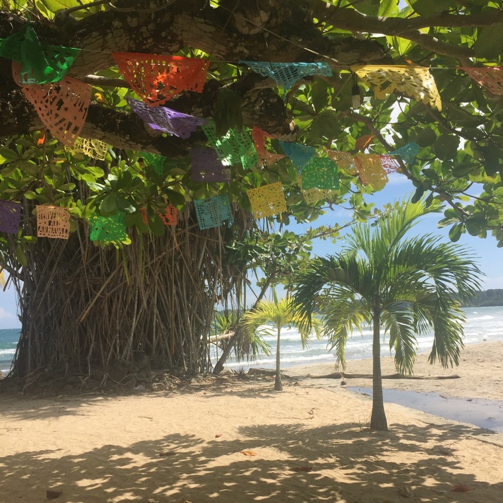 Meet your Posher, Eden