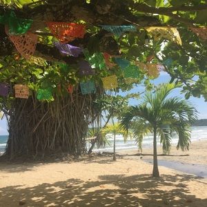 Meet your Posher, Eden