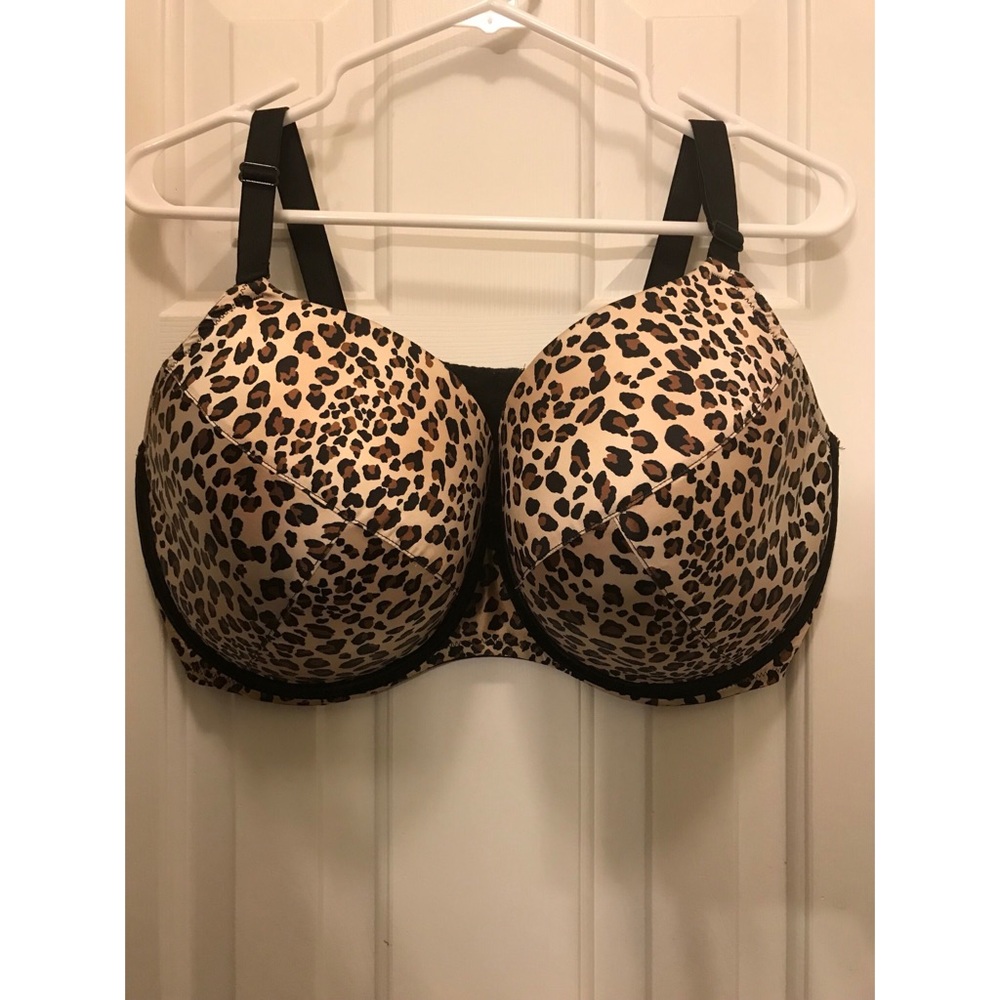 Lane Bryant pushup Bra