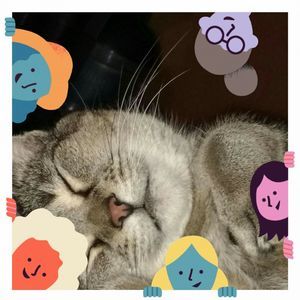 Meet your Posher, Debra