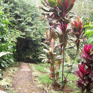 Meet your Posher, Luisa