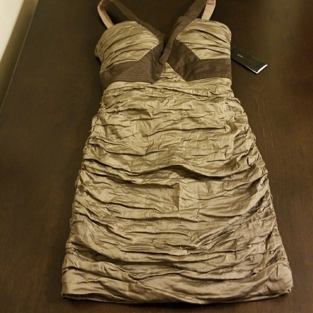 NWTG BCBG (Mocha) MAXAZRIA DRESS V-neck Contrast