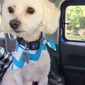 Meet your Posher, Dianna