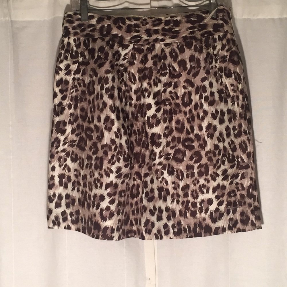 Banana Republic Skirt
