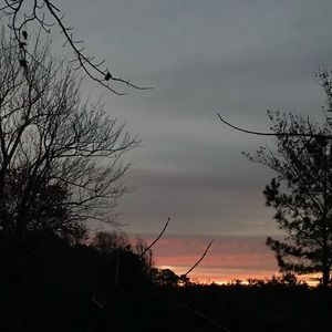 Meet your Posher, Lexi