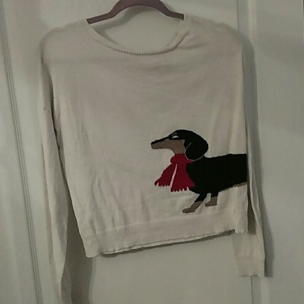 Dachshund sweater.