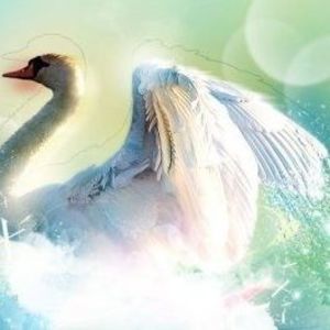 Meet your Posher, Xuan