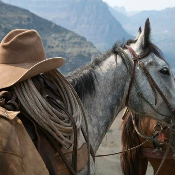 Meet your Posher, Amy - Picture 1 of 1