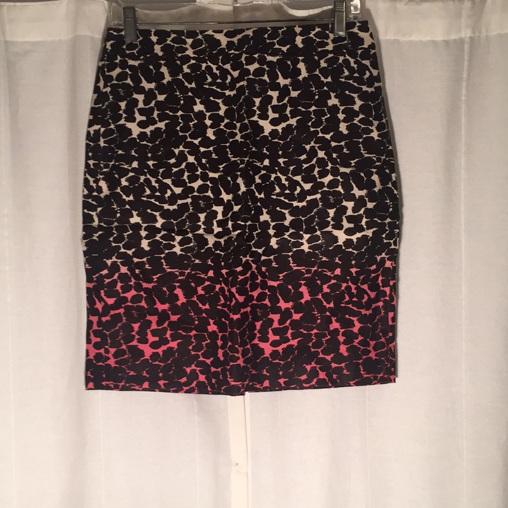 JCrew Skirt