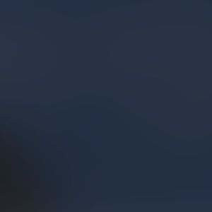 Meet your Posher, Holly