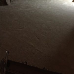 Meet your Posher, Bridget