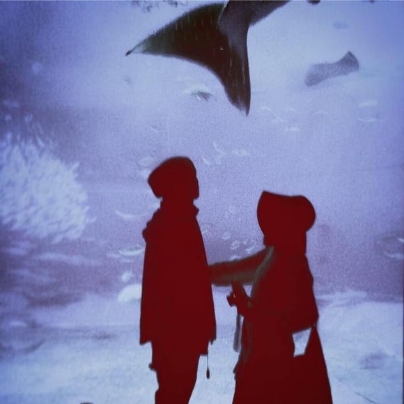 Meet your Posher, Samantha - Picture 2 of 4