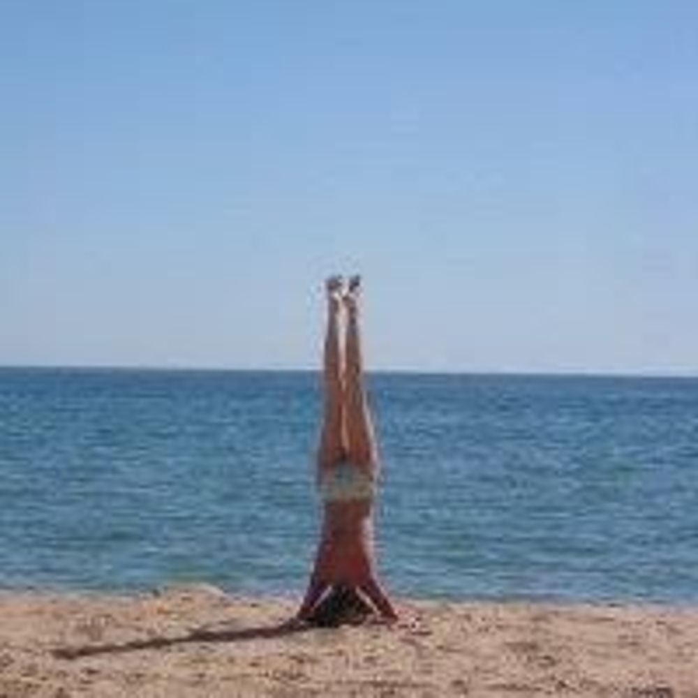 Meet your Posher, Molly