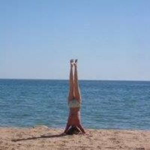 Meet your Posher, Molly