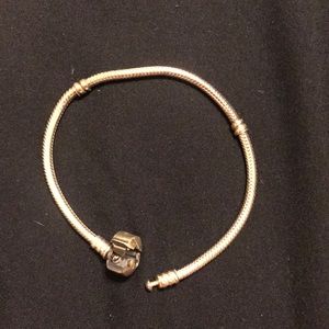 Pandora charm bracelet