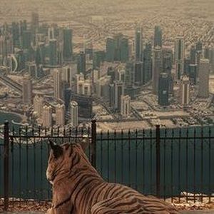 Meet your Posher, Emil