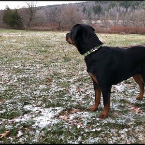 Meet your Posher, Salvador