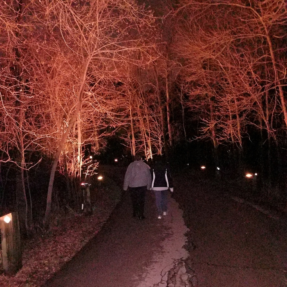 Meet your Posher, Joedi