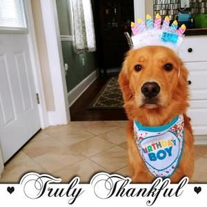 Meet your Posher, Robert