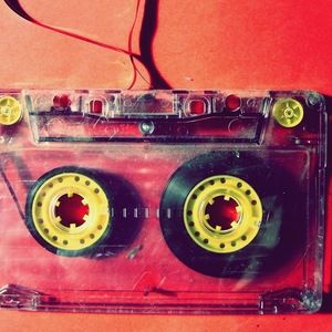 Meet your Posher, Yasmine