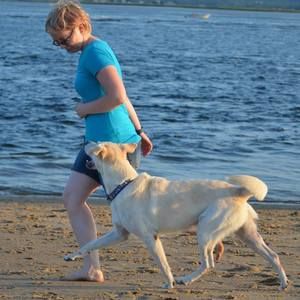 Meet your Posher, Shelby