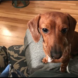 Meet your Posher, Ryan