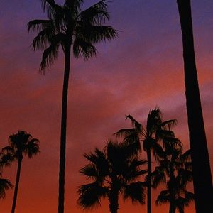 Meet your Posher, Kenny