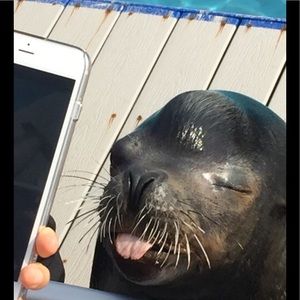 Meet your Posher, Akeem