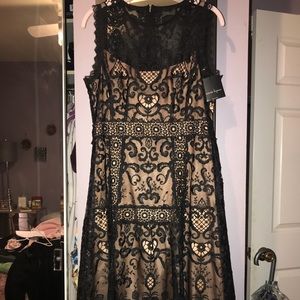 Lace Cocktail Dress, by Nanette Lepore.