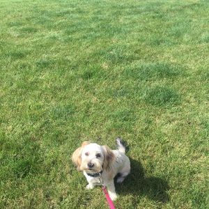 Meet your Posher, Kelley