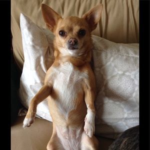 Meet your Posher, Melisa