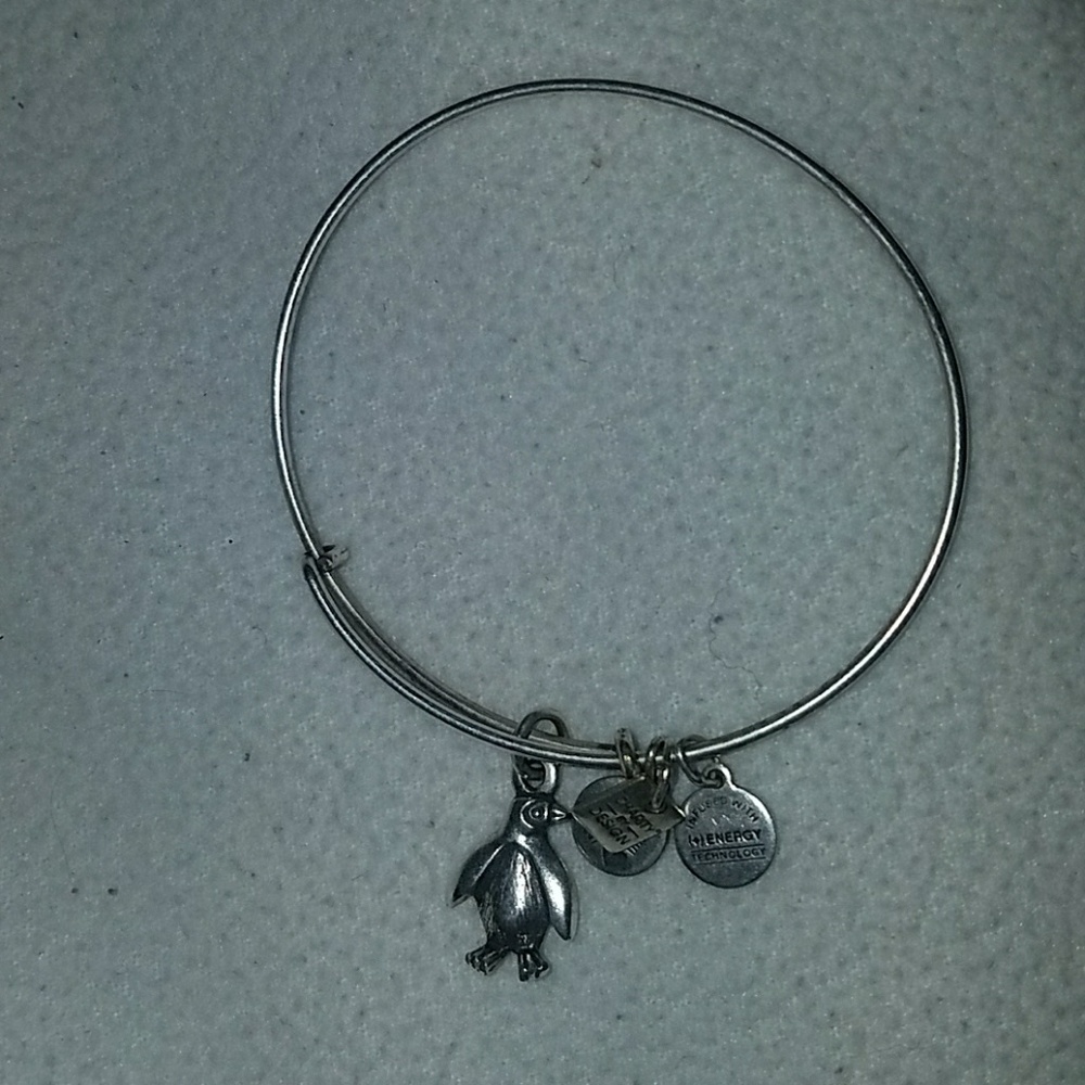 Alex and Ani Penguin Charm Bracelet