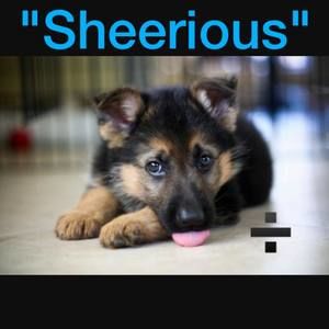 Meet your Posher, Ryker