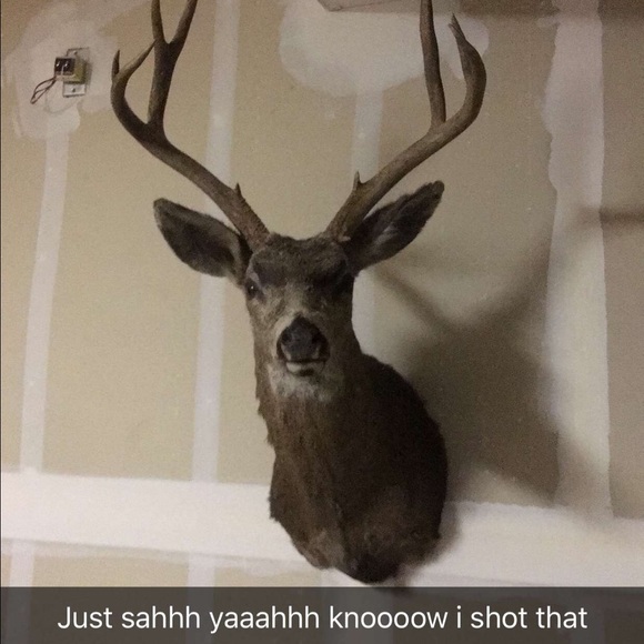 Meet your Posher, Chad - Picture 1 of 1