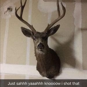 Meet your Posher, Chad