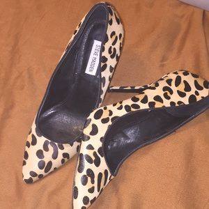 Leopard Print Steve Madden Heels