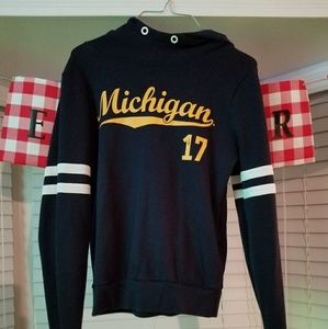 Pink Michigan hoodie