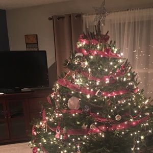 Meet your Posher, Dana