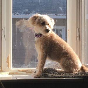 Meet your Posher, Ashley