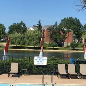 Meet your Posher, Abdullah