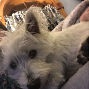 Meet your Posher, Danielle